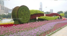 南寧中盟商務(wù)與投資峰會廣場景觀提升