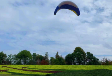 《暢想藍天·筑夢飛行》——南康飛行小鎮邊坡綠化