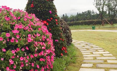 重慶花千谷花塔景觀提升案例