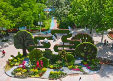 《國(guó)泰民安里·幸福新聊城》——聊城主題綠雕