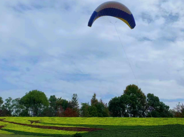《暢想藍天·筑夢飛行》——南康飛行小鎮邊坡綠化