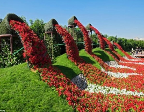 鮮花瀑布/拱門解決方案應(yīng)用展示