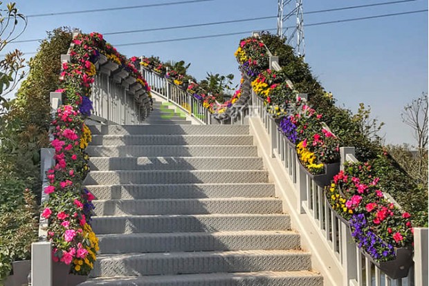 廣場公園景點景觀提升