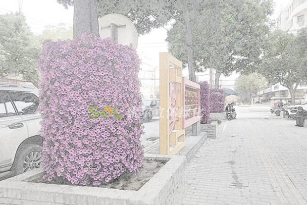 行道樹景觀設(shè)計(jì)效果圖