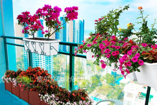 陽臺(tái)景觀設(shè)計(jì)效果圖