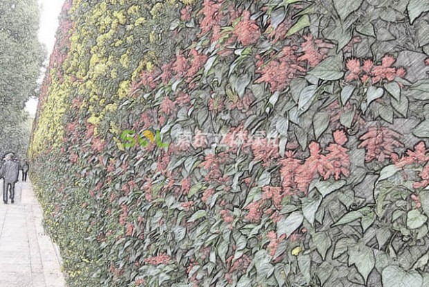 植物墻設(shè)計(jì)效果圖