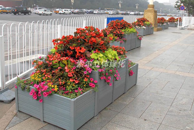 組合造景景觀設(shè)計(jì)實(shí)際效果圖