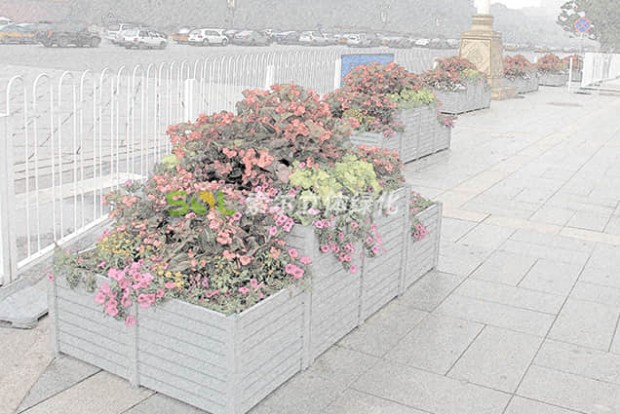 組合造景景觀設(shè)計(jì)效果圖