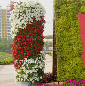 花盆式組合花柱-圓柱形