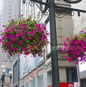 掛式燈桿綠化