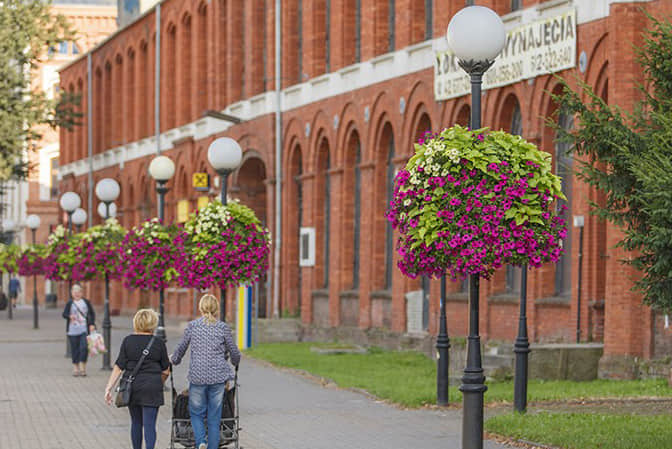 建筑區域景觀提升3