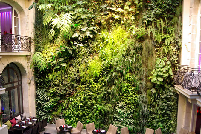 餐廳垂直綠化景觀提升