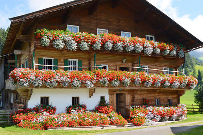 旅游小鎮景觀提升民宿客棧陽臺花園