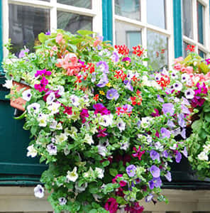 窗臺底部掛式美化