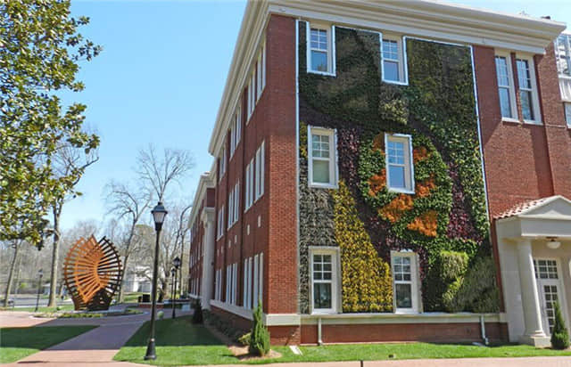 夏洛特皇后大學(xué)植物墻 (4).jpg