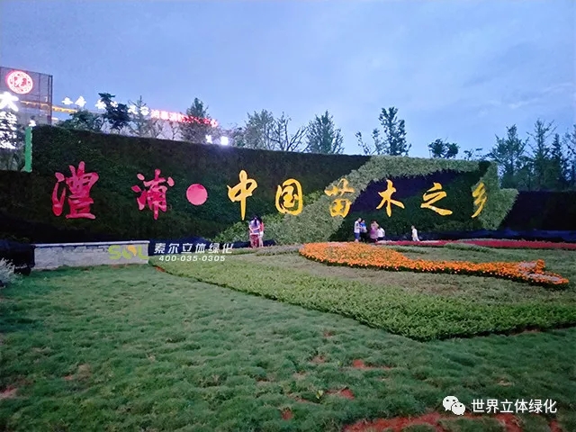 17 索爾浙江金華澧浦鎮(zhèn)植物墻道路圍擋垂直綠化.jpg