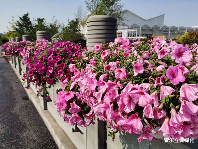 2020世界花園大會(huì)護(hù)欄美化39.jpg