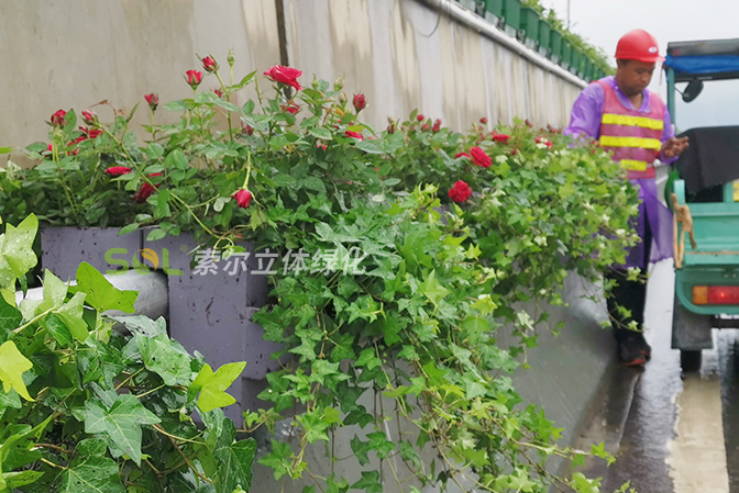 高架橋景觀提升