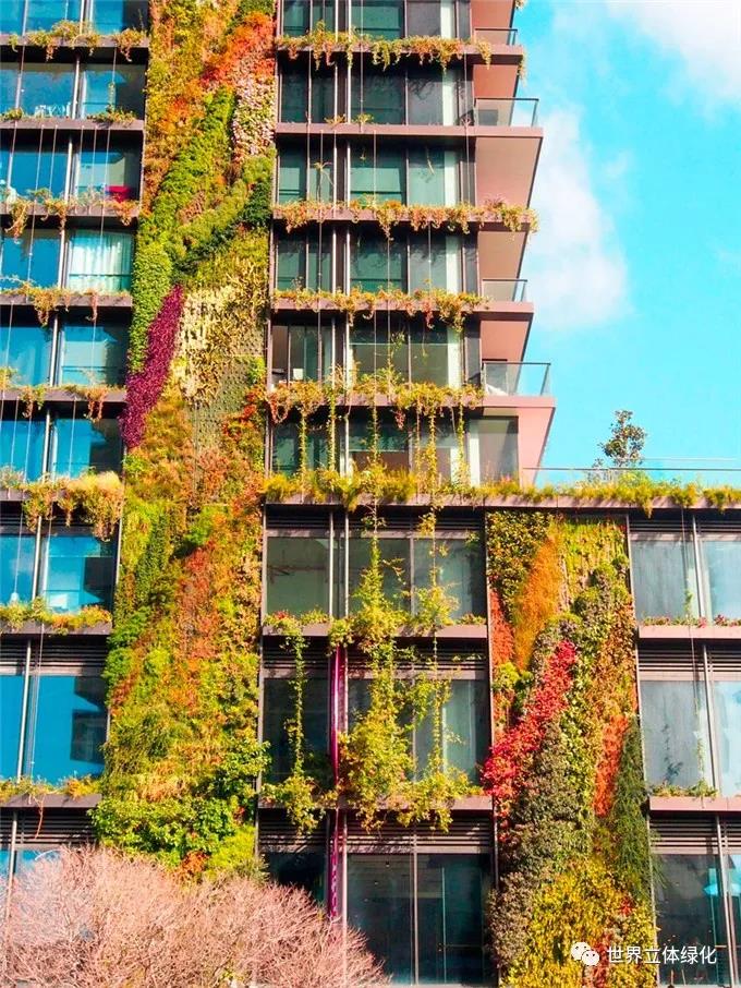 建筑垂直綠化.jpg