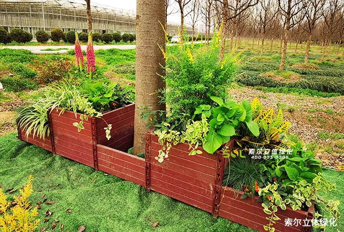 11索爾行道樹綠化 (22).jpg