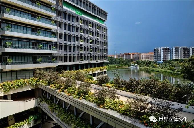 13新加坡邱德拔醫院Khoo Teck Puat Hospital (3).jpg