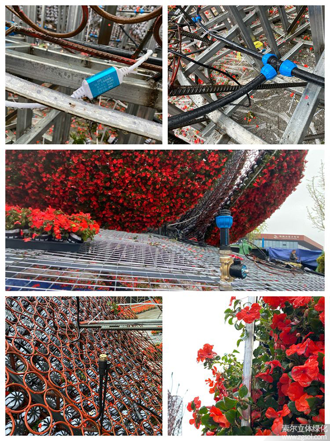 30山東青島膠州市民文化中心五一立體花壇“幸?；ㄩ_”  (13).jpg