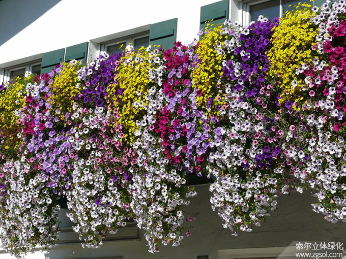 41陽臺美化 (96).jpg