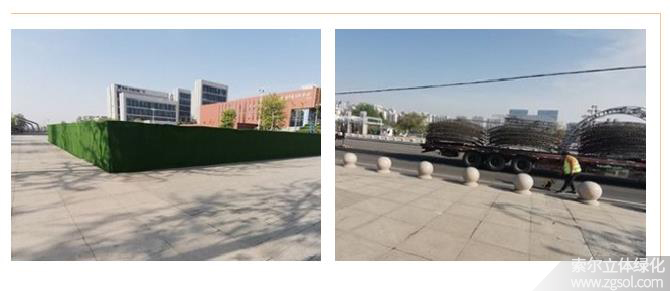 22山東青島膠州市民文化中心五一立體花壇“幸?；ㄩ_” (45).jpg