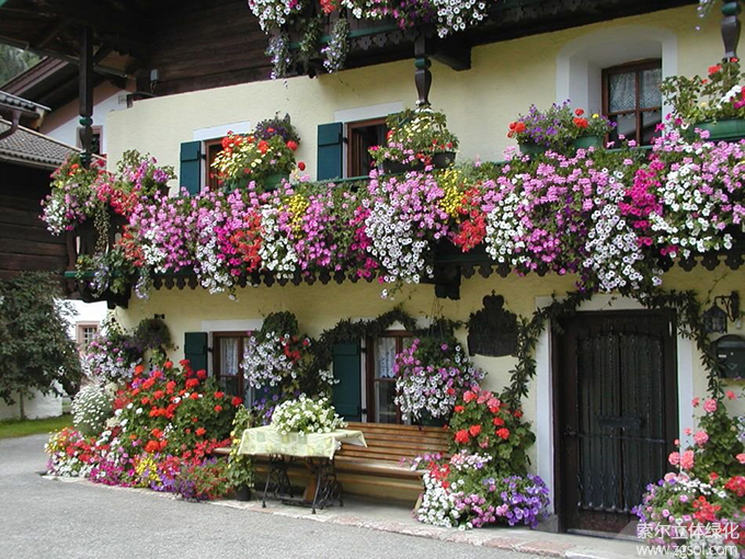 17陽臺美化 (115).jpg