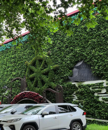 車庫(kù)立體綠化解決方案